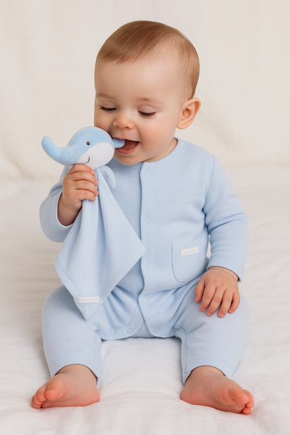 Baby Boys Waffle Fabric All In One & Comforter